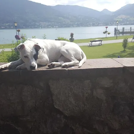 Guest house Seegarten Bad Wiessee