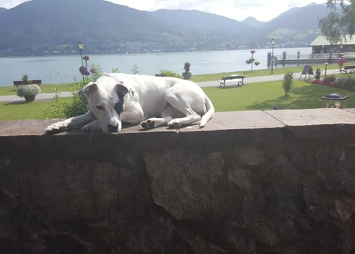 Gasthof Seegarten Bad Wiessee